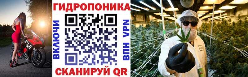 OMG зеркало  Красноперекопск  Канабис семена 